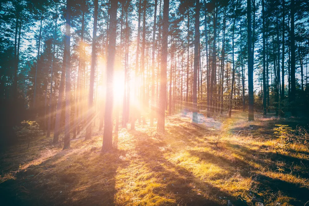 Médiums à Marseille